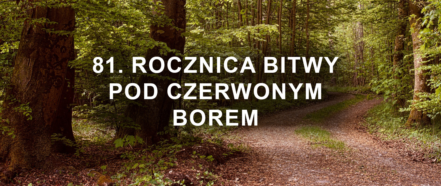 Uroczystości 81. Rocznicy Bitwy pod Czerwonym Borem
